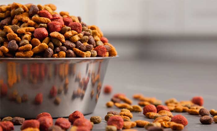 New Trends of Pet Food Market in Year 2019